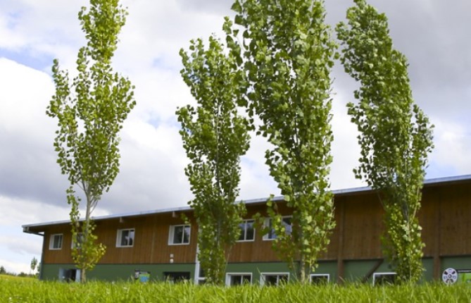 La Ferme des Peupliers