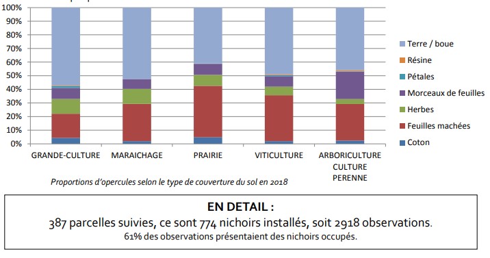 Abeilles sauvages : observatoire agricole de la biodiversité (2)