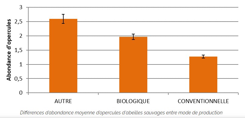 Abeilles sauvages : observatoire agricole de la biodiversité (3)