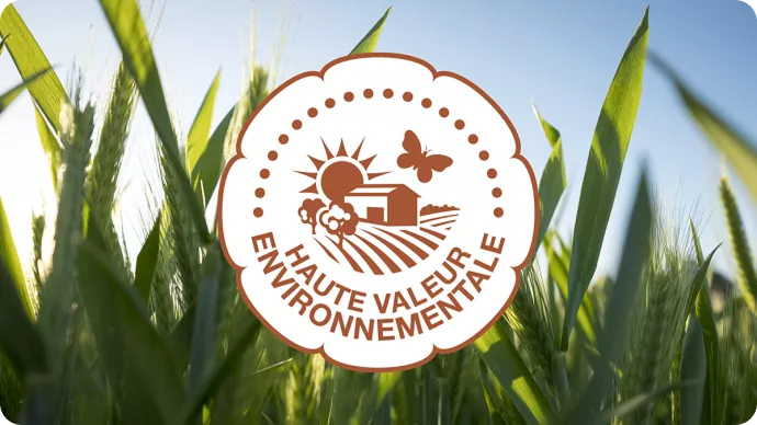 Logo HVE sur fond de nature